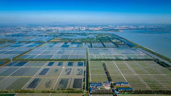 航拍高淳固城湖螃蟹核心區(qū)。高淳區(qū)融媒體中心供圖